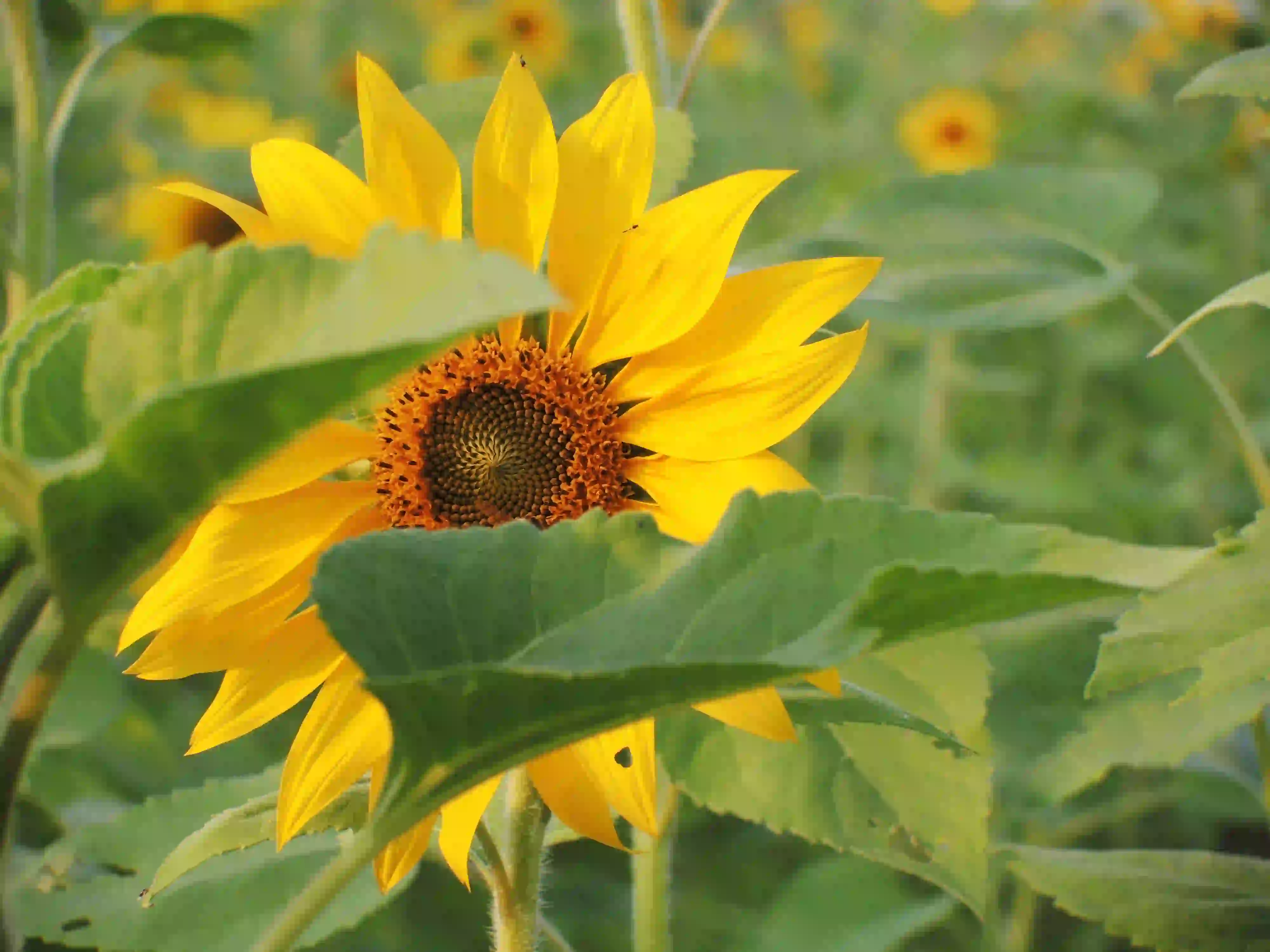 OMNI Features｜Credit Agricole S.A. Discontinuation of Funding for Fossil Fuel Extraction/ U.K. and A.U. Sign MoU to Promote Energy Transition / Tree Planting Initiative in Jiading Wetland, Kaohsiung City