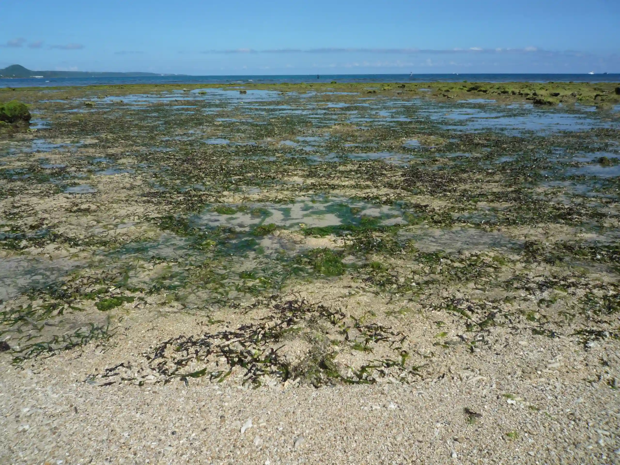 2_280KB.webp (280 KB)