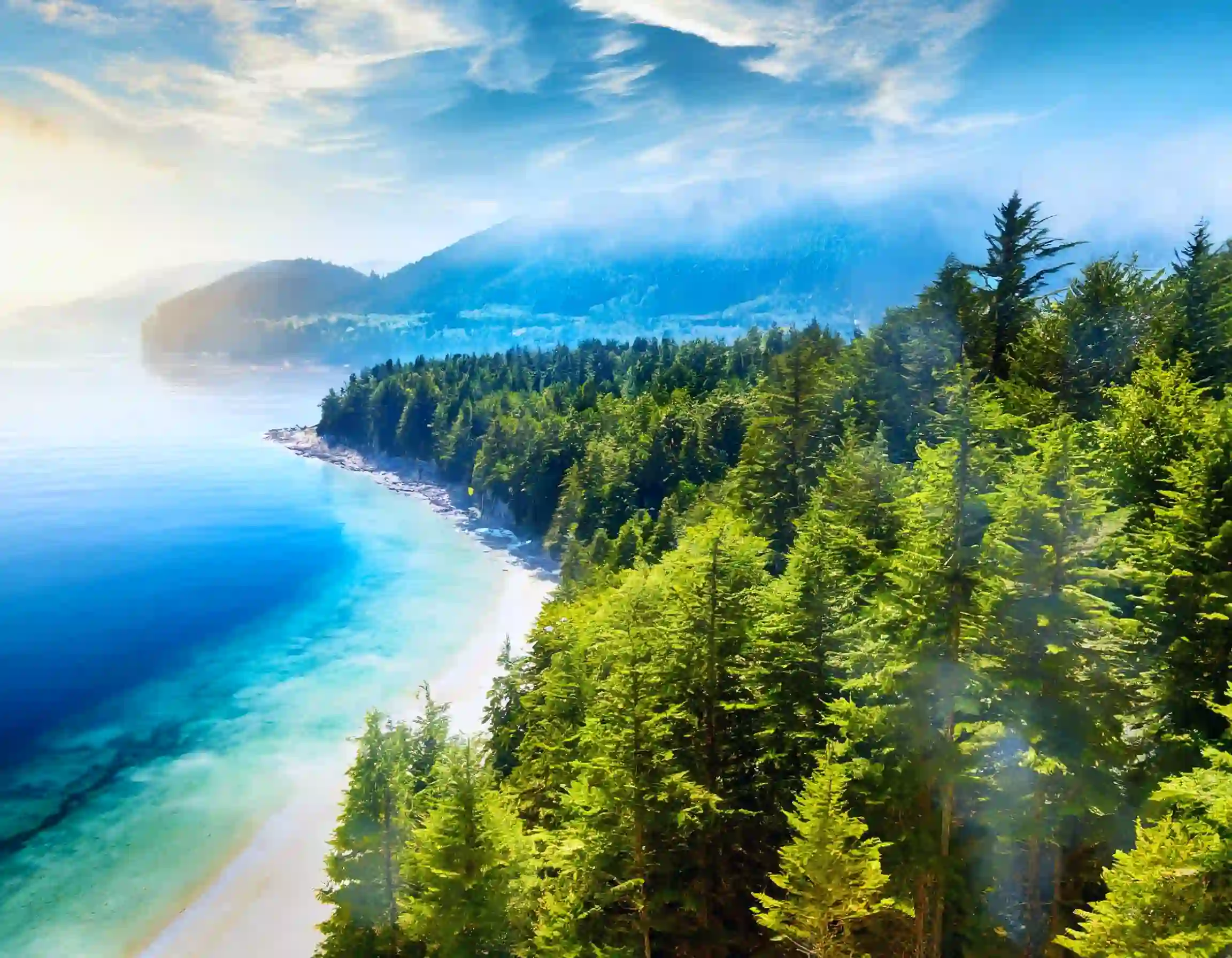 0201Banner_103KB.webp (103 KB)