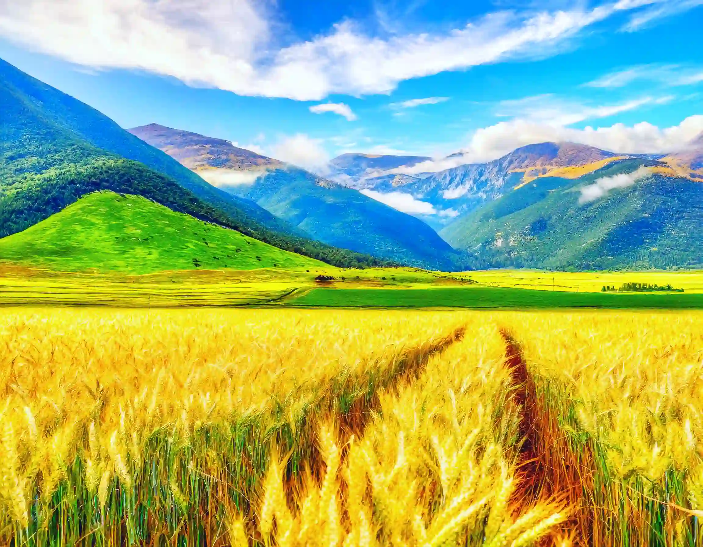 0206Banner_133KB.webp (133 KB)