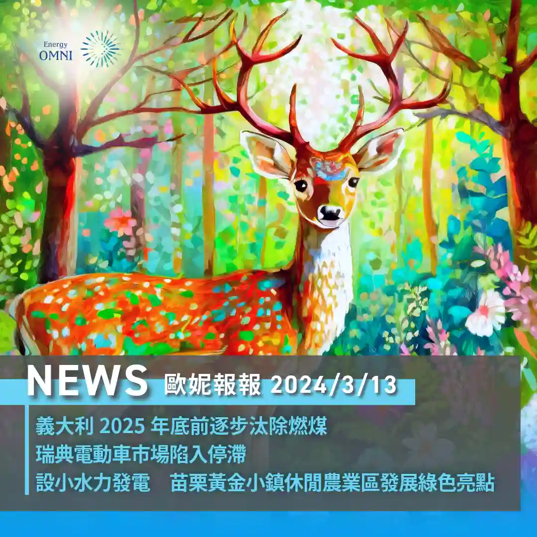 0313_56KB.webp (57 KB)