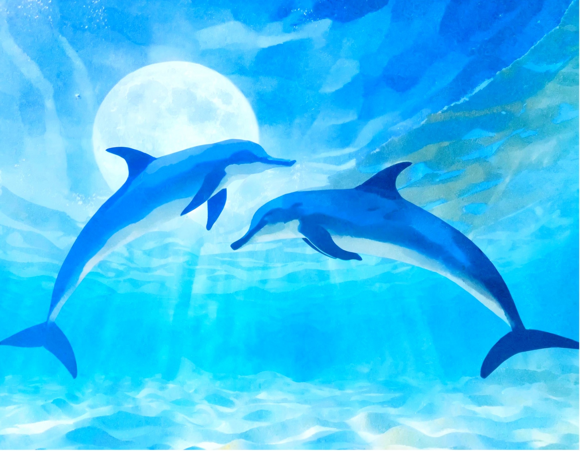 cover_572KB.jpg (615 KB)