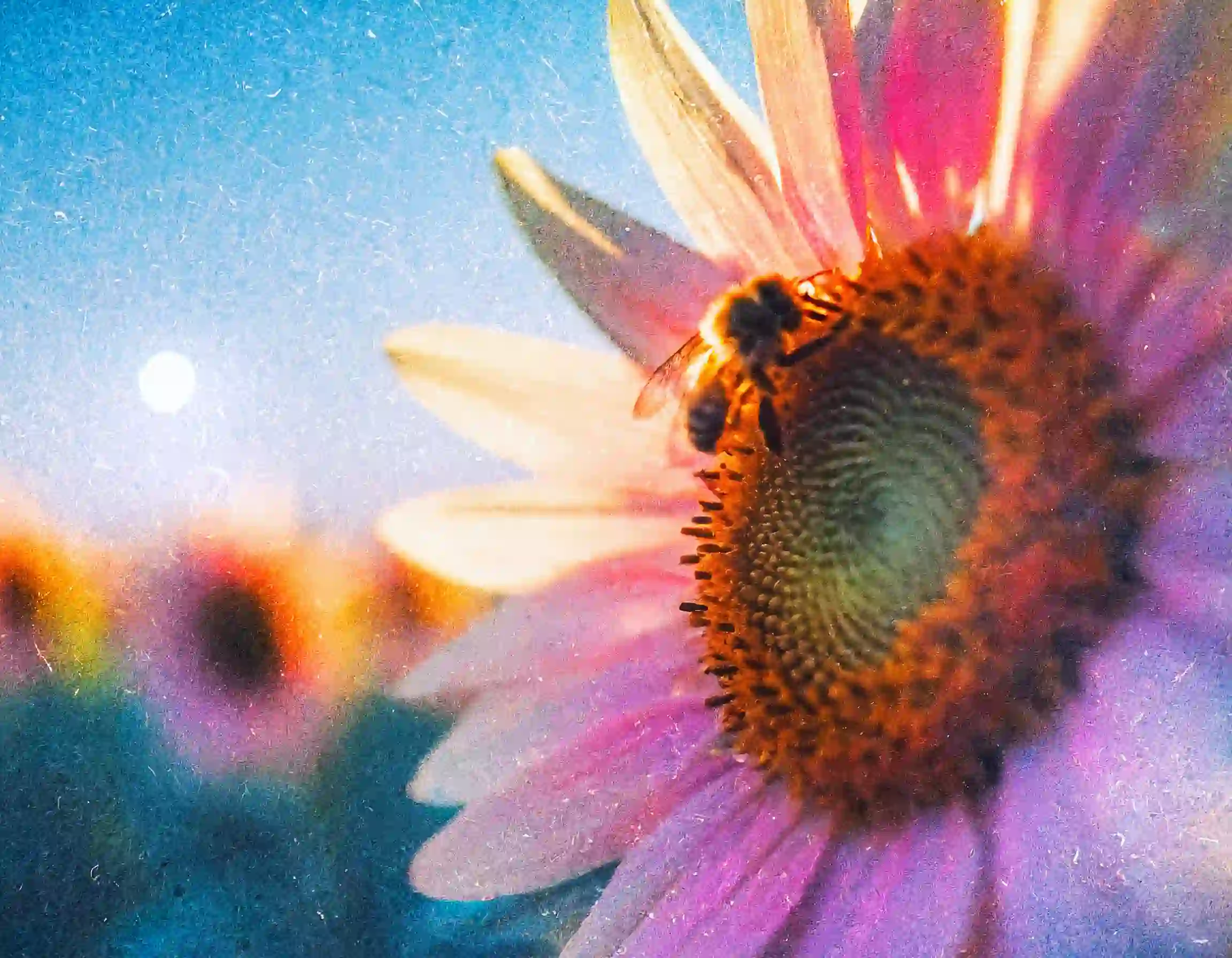 0418Cover_72KB.webp (73 KB)