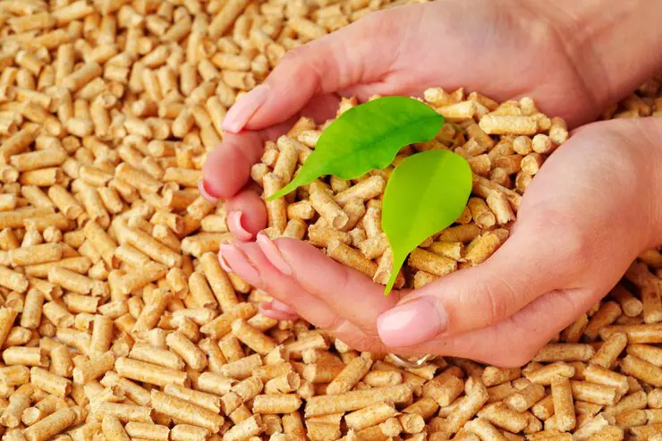 iStock_Credit_FabrikaCr.webp (52 KB)