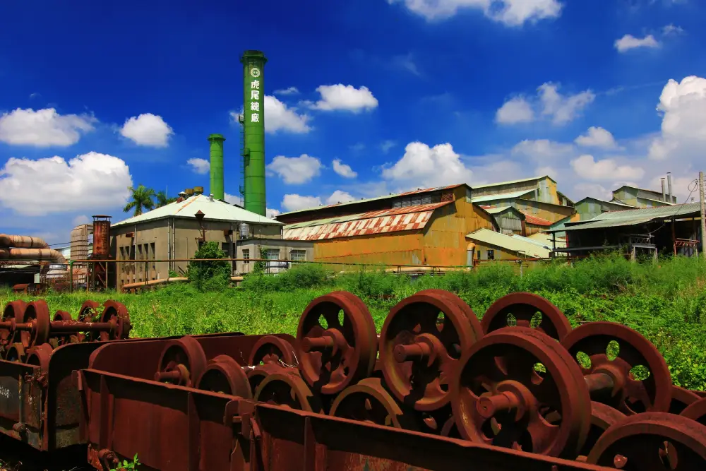 20260106_Taisugar2.webp (69 KB)