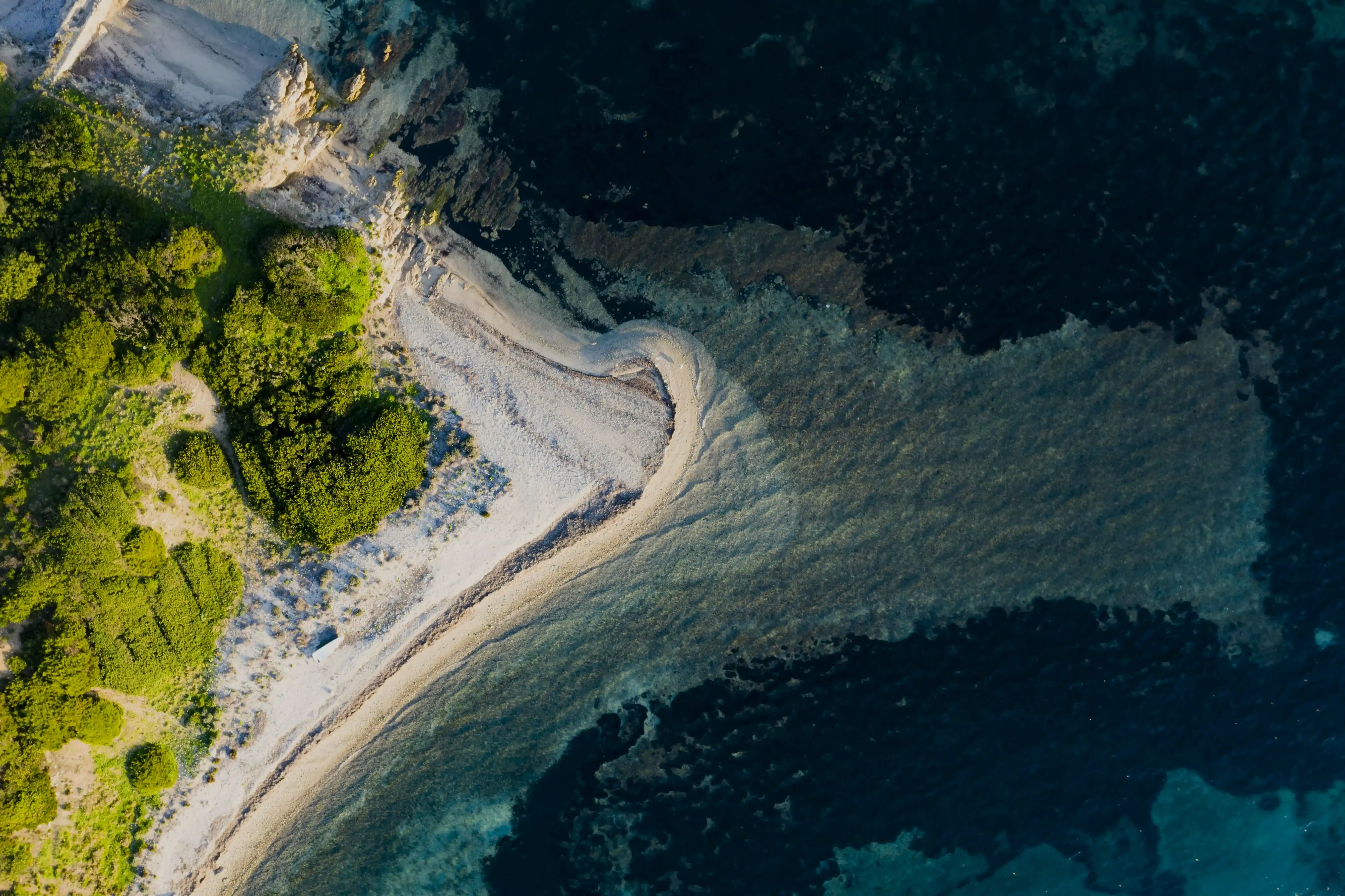 -氣候變遷驅動改變的急迫性 林子倫: 淨零轉型是一個願景式治理，我們必須有想像力和創意