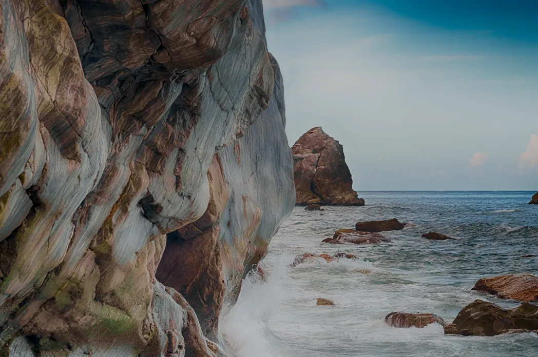 -Over 100 Gather at the New Energy & Carbon Market Opportunity Forum to Explore VPPs, Hydrogen, and Carbon Removal Markets