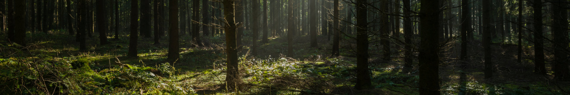 -I Mother Earth and her children I 日益升溫的憂慮－氣候變遷時代的「生態焦慮」