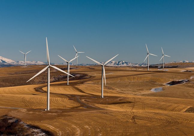 美國政府暫停所有外大陸棚海域的離岸風電租賃　並審查聯邦政府對風電的租賃與許可