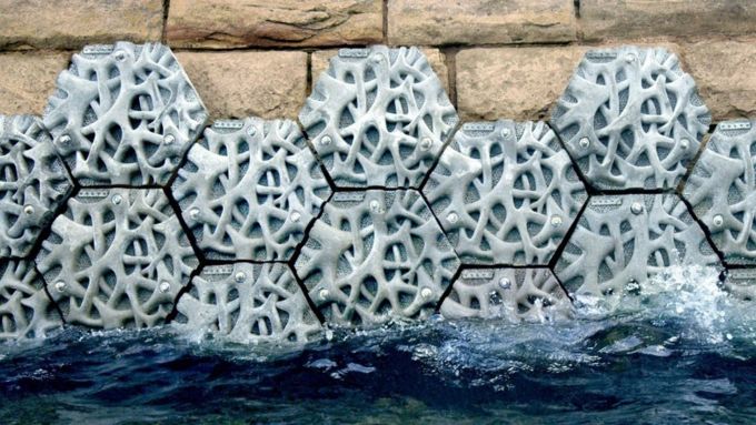 ∣Exploring Nature-based Solution∣ 藻類－對抗塑膠污染的救星？